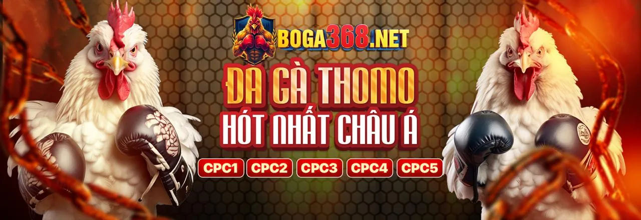 Đá Gà Trực Tuyến ww8 win 2026