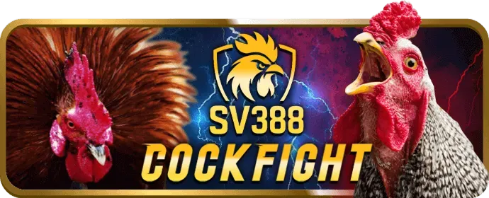 Lời khuyên chiến thắng và chơi có trách nhiệm tại WW8 Win